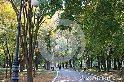 Beautiful alley with trees in Romanescu park on a sunny day, Craiova City, Romania Stock Photo