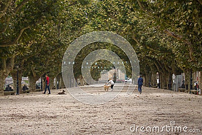 Beautiful alley with wide road and trees and walking people. Walking people and dogs in park. Avenue with crown of tree leaves. Editorial Stock Photo