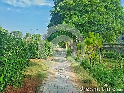 beautiful Alone road|Alone pathway Stock Photo