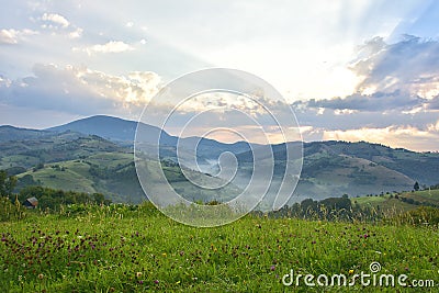 The Beautiful alpine meadow with green grass. sunrise. landscape on wild transylvania hills. Holbav. Romania. Low key, dark backgr Stock Photo