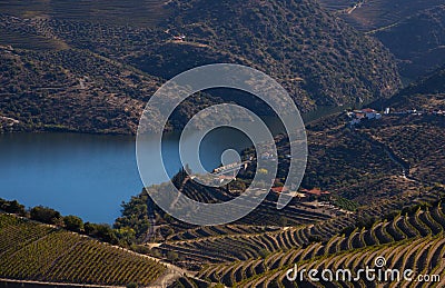 Beautiful Alto Douro vineyards landscape - UNESCO World Heritage. Stock Photo
