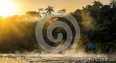 beautiful amazon river with mist and green trees in high definition Stock Photo