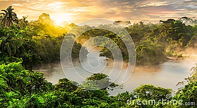 beautiful amazon river with white mist Stock Photo