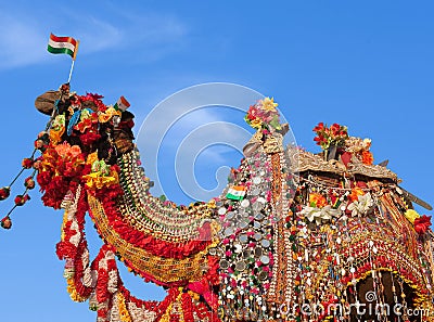 Beautiful amusing decorated Camel on Bikaner Camel Festival in Rajasthan, India Stock Photo