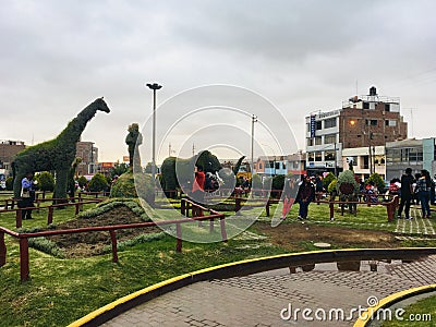 Beautiful Animals in a Park in Tacna Editorial Stock Photo
