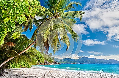 Beautiful Anse Soleil beach with palm tree at Seychelles Stock Photo