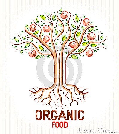Beautiful apple fruit tree natural organic farm food vector logo or emblem. Vector Illustration