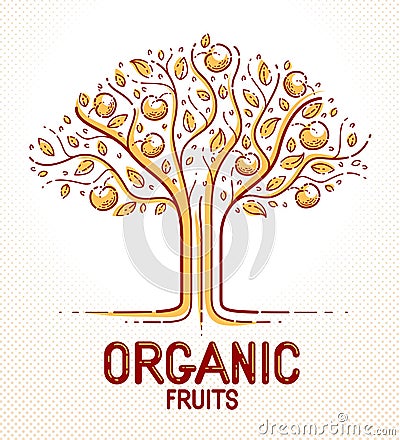 Beautiful apple fruit tree natural organic farm food vector logo or emblem. Vector Illustration