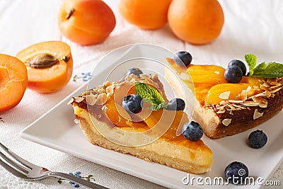 Beautiful apricot cheesecake with blueberries, mint and nuts clo Stock Photo
