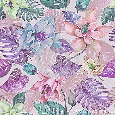 Beautiful aquilegia or columbine flowers and exotic monstera leaves on pink background. Watercolor painting Cartoon Illustration