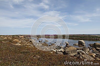 Beautiful arctic landscape in summer colours with blue skies and soft clouds Stock Photo