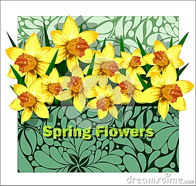 Beautiful arrangement of daffodils in an envelope Vector Illustration