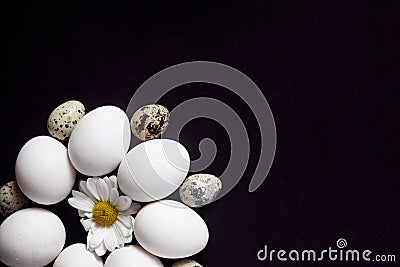 Beautiful arrangement of eggs on black Stock Photo