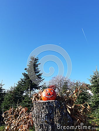 Beautiful artful hand-painted and decorated pumpkin face on a stub in autumn landscape Stock Photo