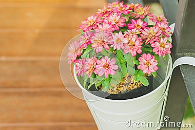 Beautiful artificial flowers in small pots hanging to decorate a railing walk for beauty on the pathway in public gardens. Stock Photo