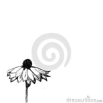 A Strong Lonely Flower Stock Photo