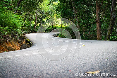 Beautiful asphalt road in palm jungle. Stock Photo