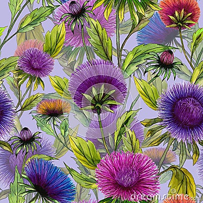 Beautiful aster flowers in different bright colors with green leaves on light lilac background. Seamless floral pattern. Cartoon Illustration