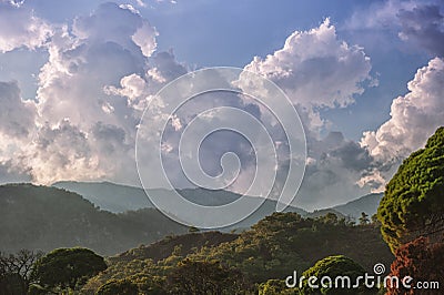 Beautiful atmospheric landscape with forest, mountains and cloudy sky Stock Photo