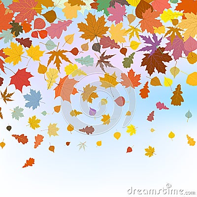 Beautiful autum leaves against sky. EPS 8 Vector Illustration