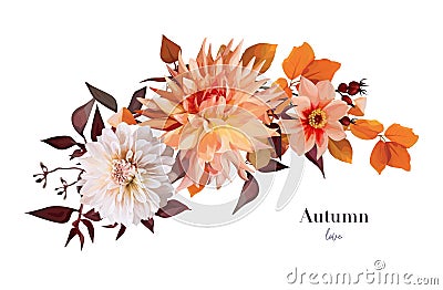 Beautiful autumn dahlia bouquet. Fall orange, peach cream flowers, yellow eucalyptus branches, red wild grape leaves floral Vector Illustration