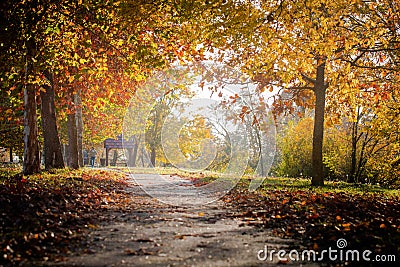 Beautiful autumn, fall romantic alley Stock Photo