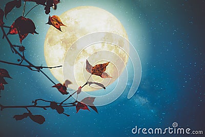 Beautiful autumn fantasy Stock Photo