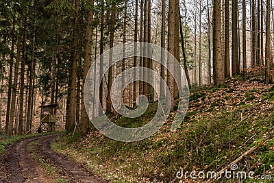 Beautiful autumn forest in Baden-Wurtemberg, Germany Stock Photo