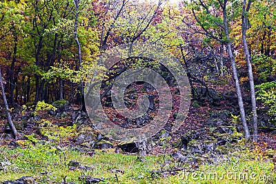 Beautiful autumn forest on the mountain cliffs. Stock Photo