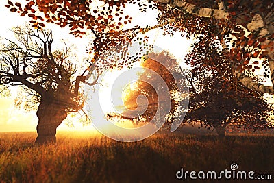 Beautiful Autumn Forest Nature Scene 3D render 1 Stock Photo