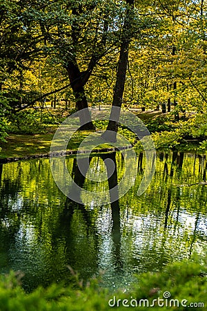 Beautiful autumn lake and forest. Season Abstract natural background. Blurry silhouettes of many green fall trees Stock Photo