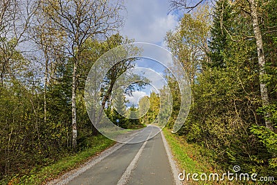 Beautiful autumn landscape with asphalt road in forest with road sign to let oncoming car pass. Stock Photo
