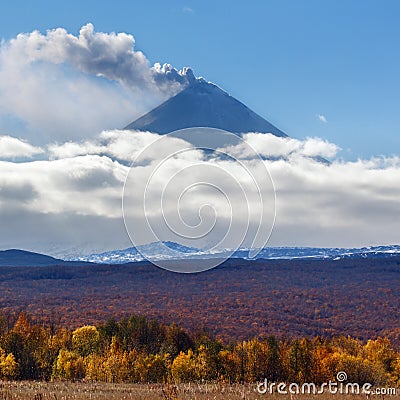 Beautiful autumn landscape: eruption volcano and colorful autumnal forest at foot of active volcano Stock Photo