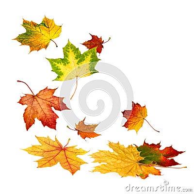 Beautiful autumn leaves falling down Stock Photo