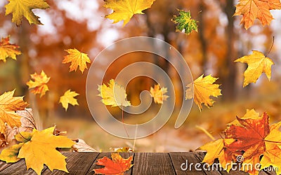Beautiful autumn leaves falling on wooden surface in park Stock Photo