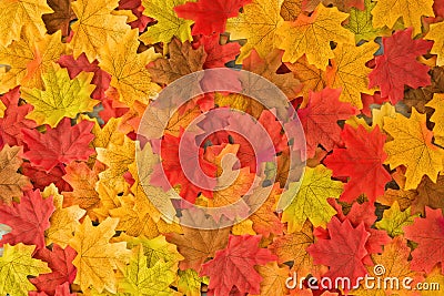 Beautiful autumn maple leaves background. Stock Photo