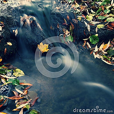 Beautiful autumn nature with a stream. Autumn leaves. Natural seasonal colored background Stock Photo