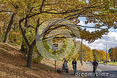 Beautiful autumn park with fall color foliage near to urban infrastructure Editorial Stock Photo