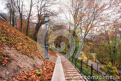 Beautiful autumn park Volodymyrska Hirka or Saint Volodymyr Hill at misty late fall day, Kyiv Kiev, Ukraine. Scenic landscape Stock Photo