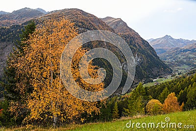 Beautiful Autumn Scenery of European Countryside, Austria, Europe Stock Photo