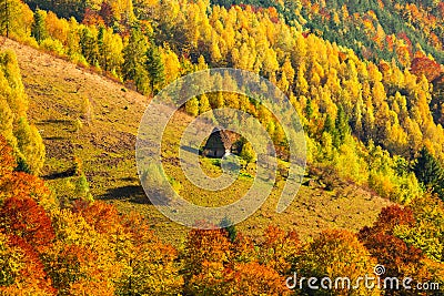 Beautiful autumn scenery with traditional straw roof house in Ap Stock Photo