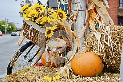 Beautiful autumn theme Stock Photo
