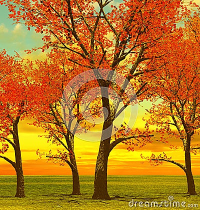 Beautiful autumn trees Stock Photo