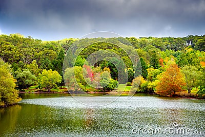 Colorful Australian autumn in Mount Lofty Stock Photo