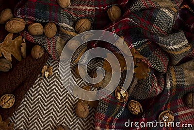 Beautiful autumnal background with nuts and leaves Stock Photo