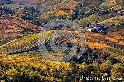 Beautiful autumnal vineyards on the hills of Langhe in Northern Italy. Stock Photo
