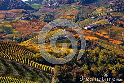 Beautiful autumnal vineyards of Piedmont from above. Stock Photo