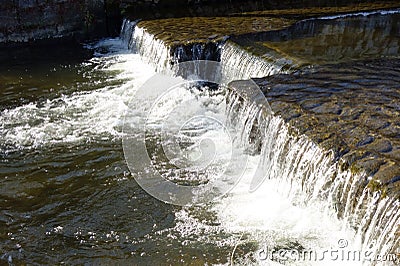 The babbling brook of the shining forest Stock Photo