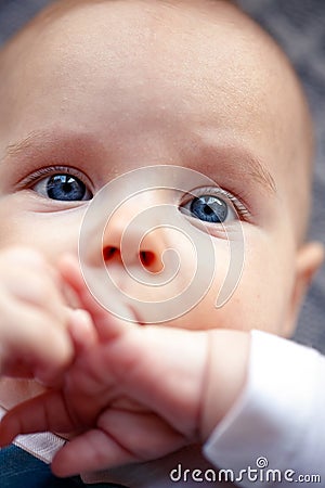 Beautiful baby portrait - adorable smiling baby boy Stock Photo