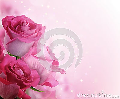 Beautiful background with flowers roses Stock Photo